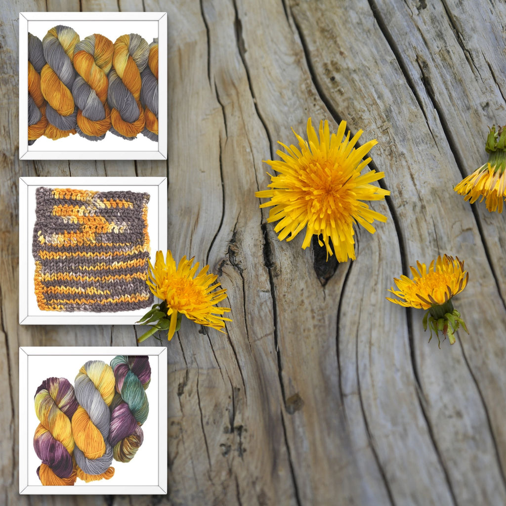 5 skeins of Woolly Headed Ideas DK Weight hand-dyed Yarn in colorway Driftwood & Dandelion with a knitting and crochet sample with dandelions on a wooden surface