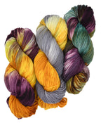 Colorway pairing of Three skeins of Woolly Headed Ideas hand-dyed multicolored yarn on a white background